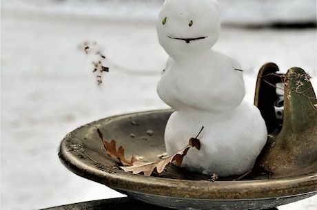 雪孩子的故事(雪孩子的故事：一个幸福温馨的家庭)