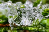 雪融水(解读雪融水 | 阳春三月，神秘能量苏醒)